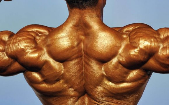 Build lean muscle mass