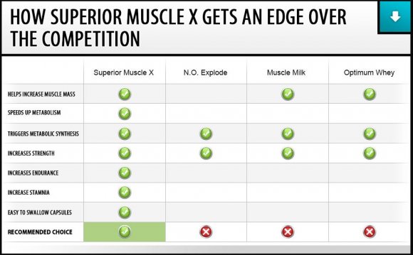 Superior muscle comparison