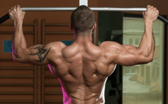 Workout for building muscle mass