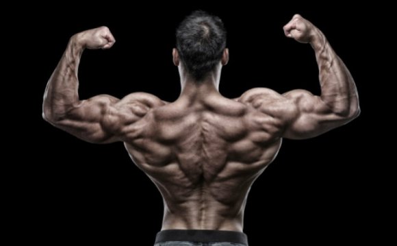 Best way to build back muscles