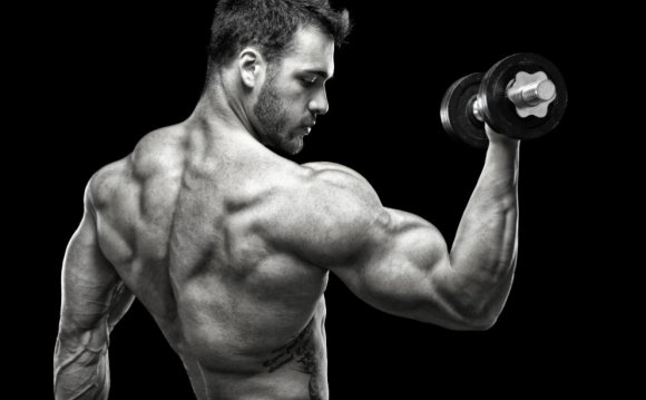 Building lean muscle workout