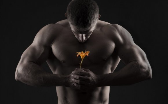 Best sources of protein for building muscle