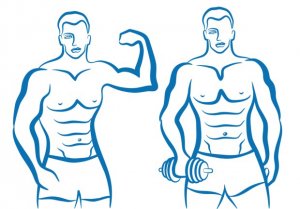 male body types