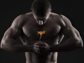 Best sources of protein for building muscle