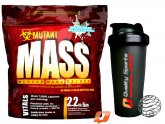 Muscle mass weight Gainer