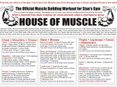 Workout Routines for Mens to build muscle