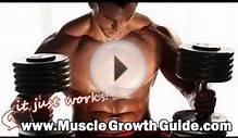 PROTEIN FOR MUSCLE BUILDING FOODS