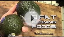 TOP 3 FAT BURNING FOODS - FAT LOSS | BURN FAT AND BUILD