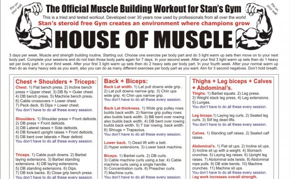 Workout Routines for Mens to build muscle