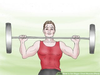 Image titled Get Bigger Chest Muscles (Pecs) Step 6.jpeg