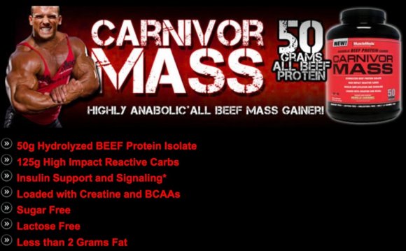 Calories to gain muscle mass