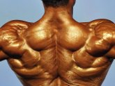 Lean muscle mass
