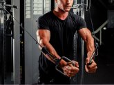 Muscle building workout Routines
