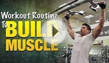 Workout Routine To Build Muscle: Build Bigger Arms, Legs